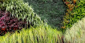 Jardines verticales