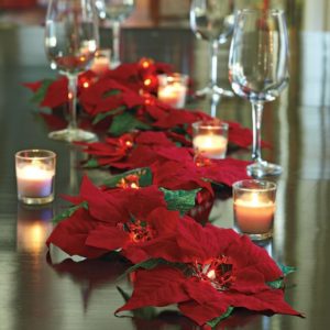 decoración navideña con flor de pascua