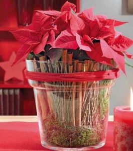 decoración navideña con flor de pascua